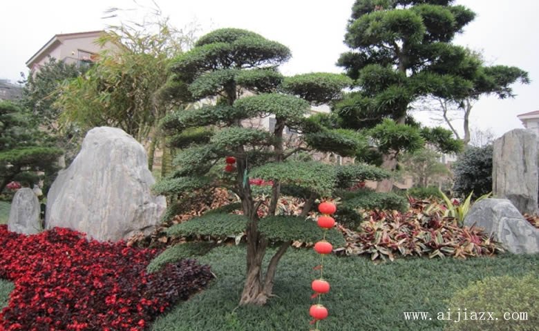 雅逸趣味的園林景觀裝修效果圖